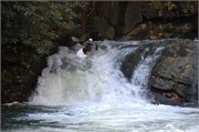 Terran Green Narrows_4
